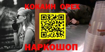 крисы Кулебаки