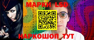 крисы Кулебаки