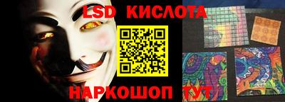 крисы Кулебаки