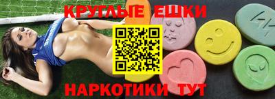 крисы Кулебаки