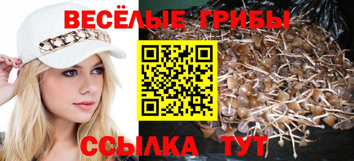 Галлюциногенные грибы MAGIC MUSHROOMS Арсеньев